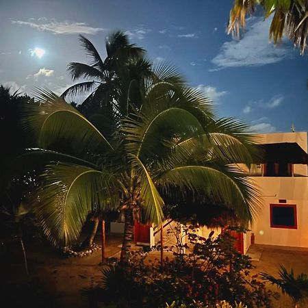 Casa Paraiso Xcalak Dış mekan fotoğraf